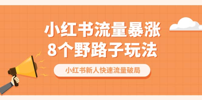 小红书流量-暴涨8个野路子玩法：小红书新人快速流量破局（8节课）六月网创-网创项目资源站-副业项目-创业项目-搞钱项目六月网创