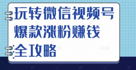 玩转微信视频号爆款涨粉赚钱全攻略,让你快速抓住流量风口,收获红利财富六月网创-网创项目资源站-副业项目-创业项目-搞钱项目六月网创