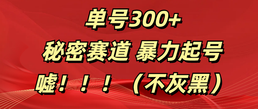 单号300+  秘密赛道 暴力起号  （不灰黑）六月网创-网创项目资源站-副业项目-创业项目-搞钱项目六月网创
