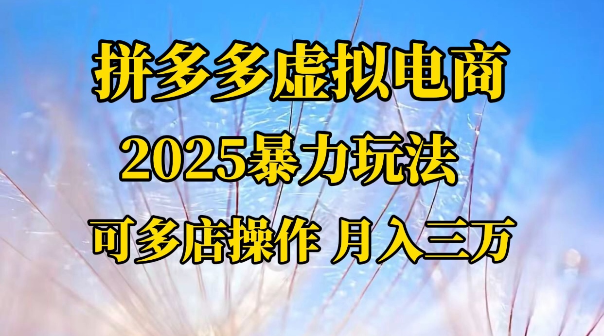 拼多多虚拟电商，不囤货不垫资的虚拟电商六月网创-网创项目资源站-副业项目-创业项目-搞钱项目六月网创