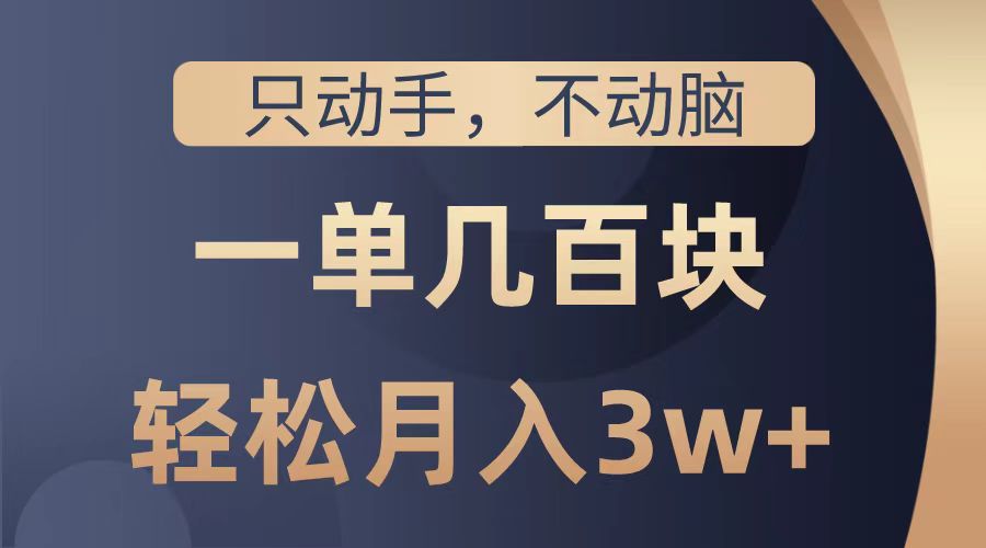 只动手不动脑，一单几百块，轻松月入2w+，看完就能直接操作，详细教程六月网创-网创项目资源站-副业项目-创业项目-搞钱项目六月网创