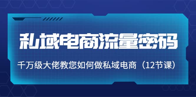 私域电商流量密码:千万级大佬教您如何做私域电商(12节课)六月网创-网创项目资源站-副业项目-创业项目-搞钱项目六月网创