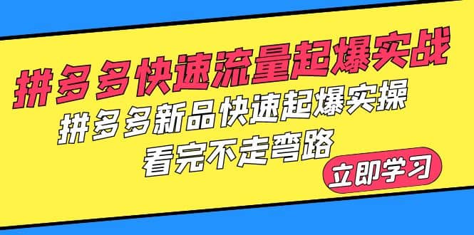 拼多多-快速流量起爆实战，拼多多新品快速起爆实操，看完不走弯路六月网创-网创项目资源站-副业项目-创业项目-搞钱项目六月网创