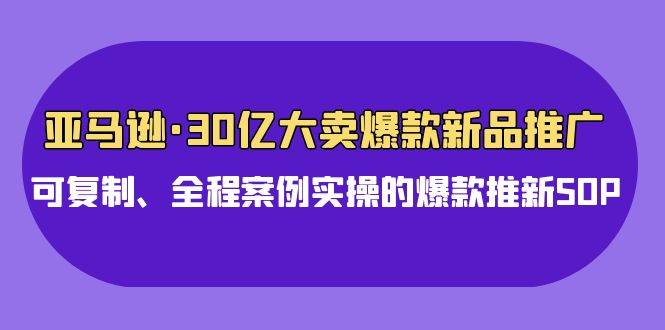 亚马逊30亿·大卖爆款新品推广,可复制、全程案例实操的爆款推新SOP六月网创-网创项目资源站-副业项目-创业项目-搞钱项目六月网创