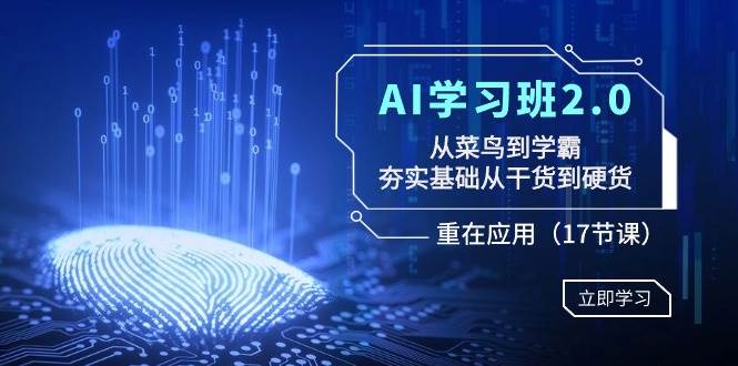 AI学习班2.0:从菜鸟到学霸,夯实基础从干货到硬货,重在应用(17节课)六月网创-网创项目资源站-副业项目-创业项目-搞钱项目六月网创