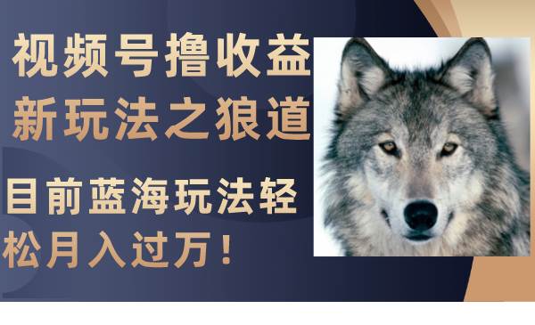 视频号撸收益新玩法之狼道,目前蓝海玩法轻松月入过万!六月网创-网创项目资源站-副业项目-创业项目-搞钱项目六月网创