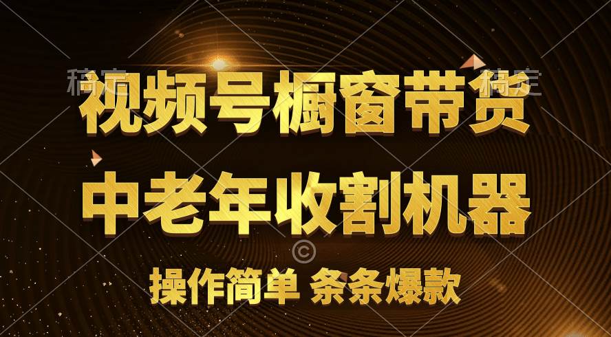 [你的孩子成功取得高位]视频号最火爆赛道，橱窗带货，流量分成计划，条…六月网创-网创项目资源站-副业项目-创业项目-搞钱项目六月网创