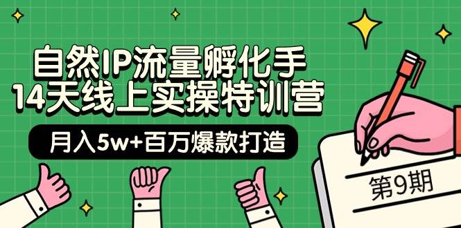 自然IP流量孵化手 14天线上实操特训营【第9期】月入5w+百万爆款打造 (74节)六月网创-网创项目资源站-副业项目-创业项目-搞钱项目六月网创