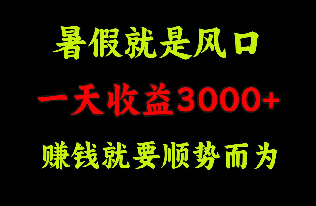 一天收益3000+ 赚钱就是顺势而为,暑假就是风口六月网创-网创项目资源站-副业项目-创业项目-搞钱项目六月网创