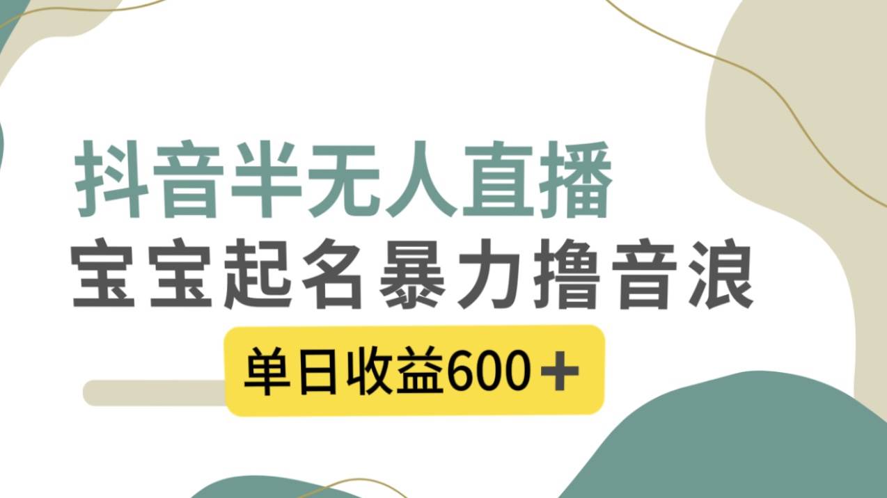 抖音半无人直播，宝宝起名，暴力撸音浪，单日收益600+六月网创-网创项目资源站-副业项目-创业项目-搞钱项目六月网创