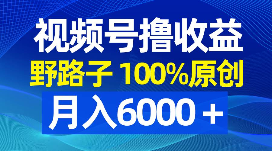 视频号野路子撸收益,100%原创,条条爆款,月入6000+六月网创-网创项目资源站-副业项目-创业项目-搞钱项目六月网创