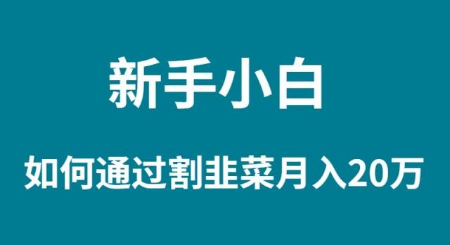 新手小白如何通过割韭菜月入 20W六月网创-网创项目资源站-副业项目-创业项目-搞钱项目六月网创