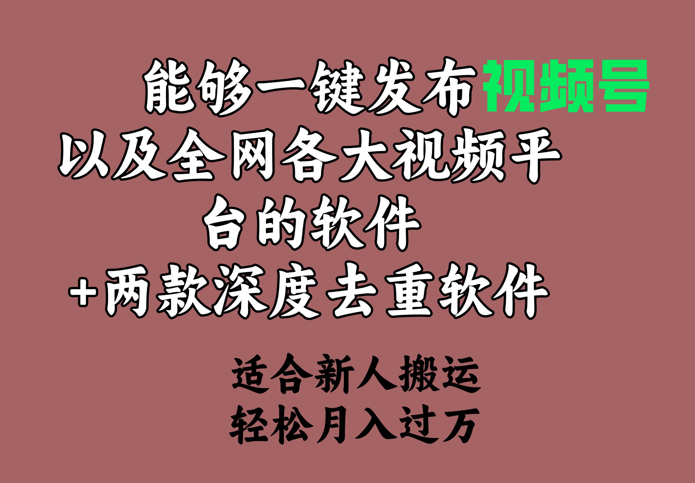 能够一键发布视频号以及全网各大视频平台的软件+两款深度去重软件 适合…六月网创-网创项目资源站-副业项目-创业项目-搞钱项目六月网创
