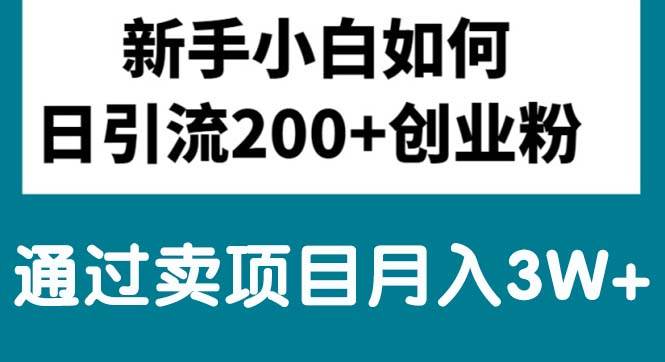 新手小白日引流200+创业粉,通过卖项目月入3W+六月网创-网创项目资源站-副业项目-创业项目-搞钱项目六月网创