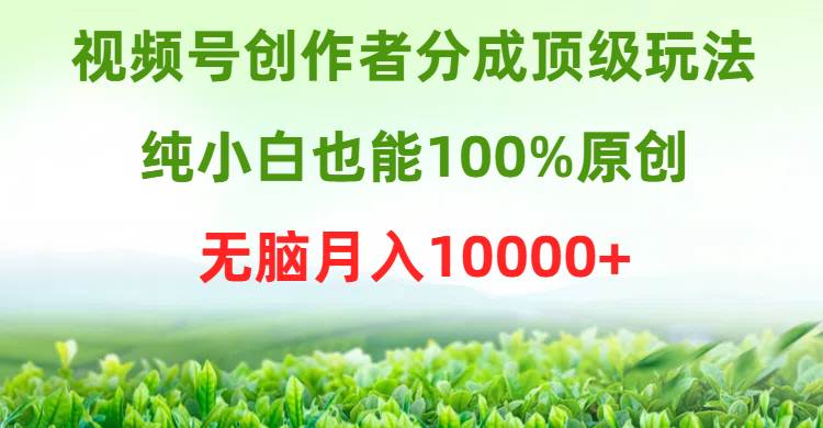 视频号创作者分成顶级玩法，纯小白也能100%原创，无脑月入10000+六月网创-网创项目资源站-副业项目-创业项目-搞钱项目六月网创