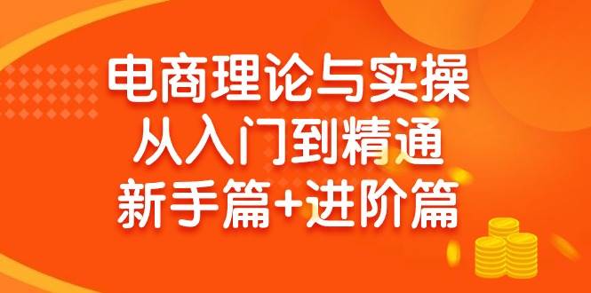 电商理论与实操从入门到精通 新手篇+进阶篇六月网创-网创项目资源站-副业项目-创业项目-搞钱项目六月网创