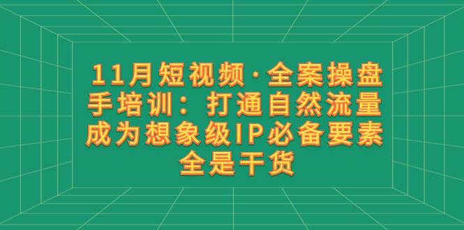 11月短视频·全案操盘手培训:打通自然流量 成为想象级IP必备要素 全是干货六月网创-网创项目资源站-副业项目-创业项目-搞钱项目六月网创