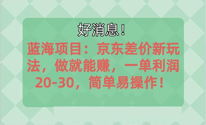 越早知道越能赚到钱的蓝海项目：京东大平台操作，一单利润20-30，简单…六月网创-网创项目资源站-副业项目-创业项目-搞钱项目六月网创