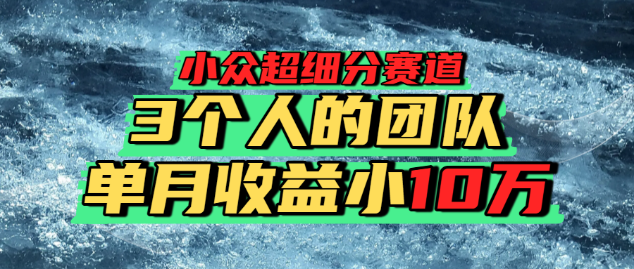 小众超细分赛道,一年百万利润的盘子!六月网创-网创项目资源站-副业项目-创业项目-搞钱项目六月网创