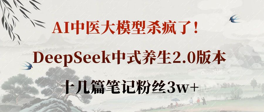 AI中医大模型杀疯了!DeepSeek中式养生2.0版本,十几篇笔记粉丝3w+六月网创-网创项目资源站-副业项目-创业项目-搞钱项目六月网创