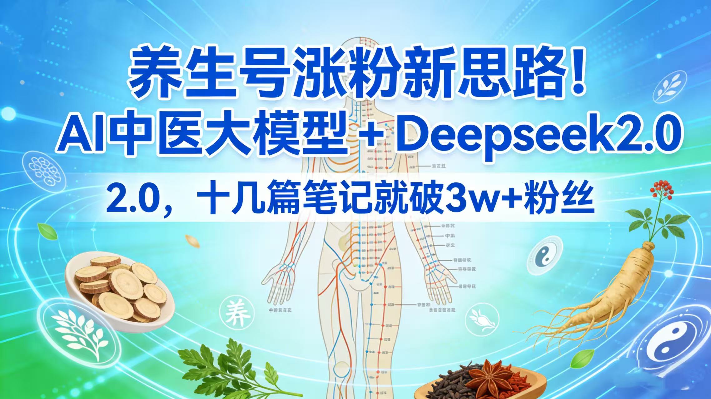养生号涨粉新思路！AI 中医大模型 + Deepseek 2.0，十几篇笔记就破 3w + 粉丝六月网创-网创项目资源站-副业项目-创业项目-搞钱项目六月网创